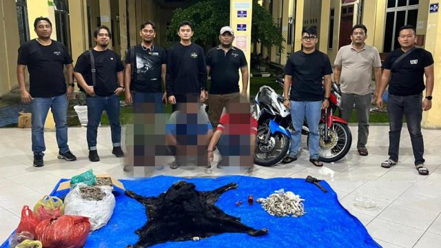 Satreskrim Polres Simalungun Ungkap Perdagangan Bagian Tubuh Satwa Dilindungi, Tiga Terduga Pelaku Diamankan