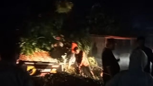 Pohon Tumbang Timpa Mobil di Parluasan, BPBD Pematangsiantar Bergerak Cepat Lakukan Evakuasi